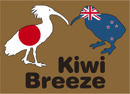 kiwi breeze